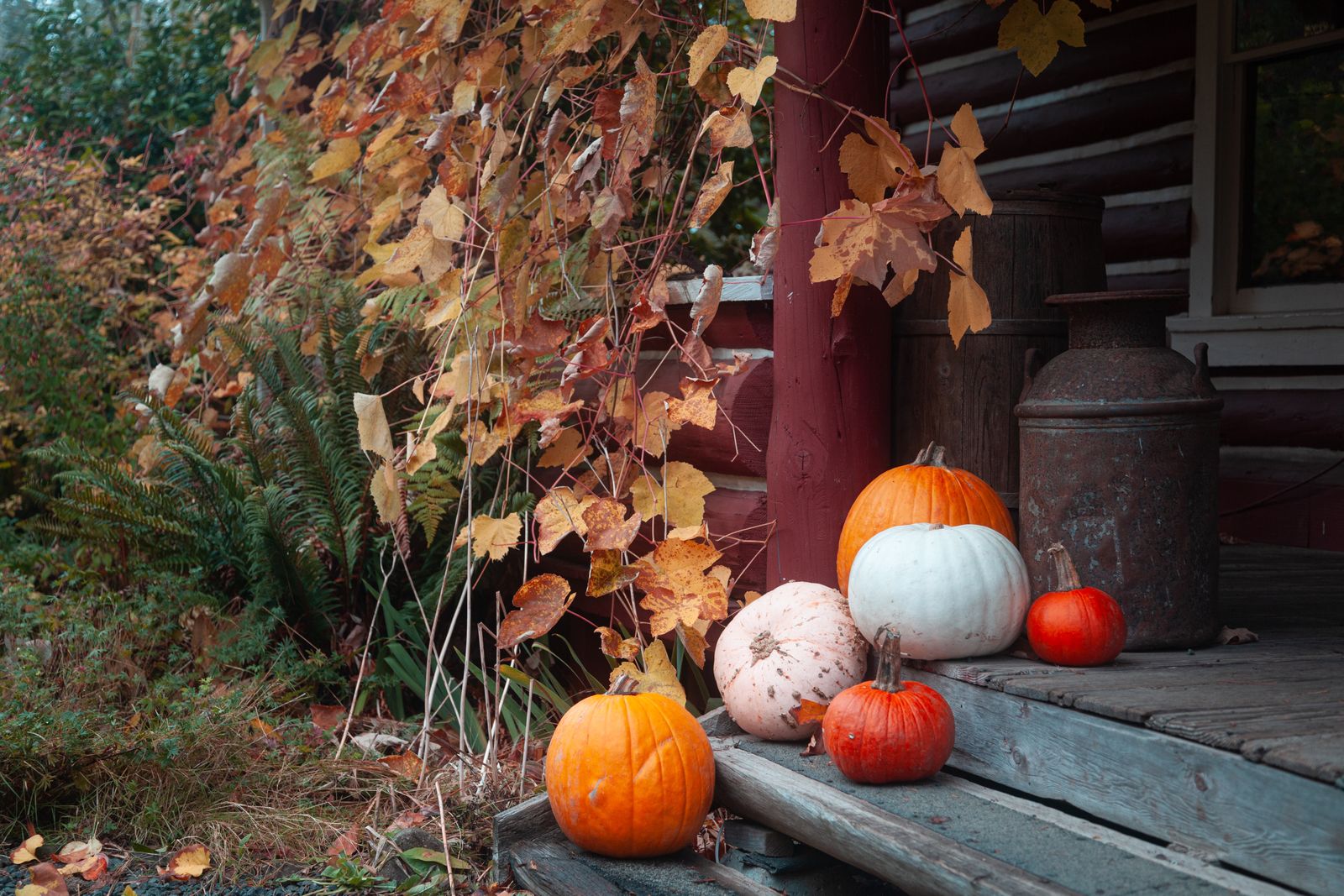 A cozy autumn porch decorated with pumpkins and fall leaves